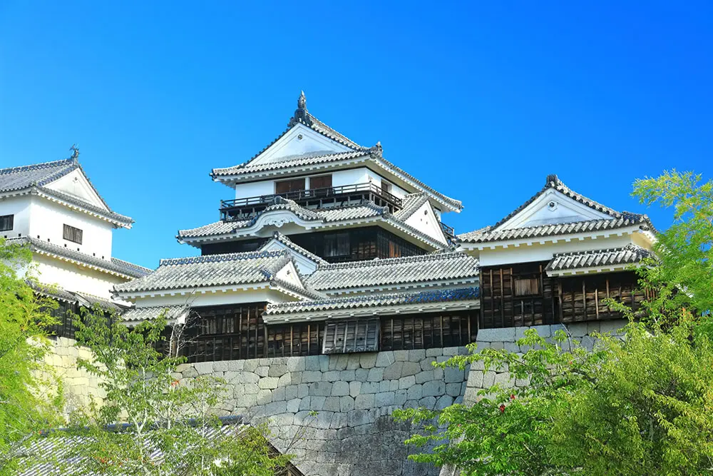 愛媛県の「松山城」