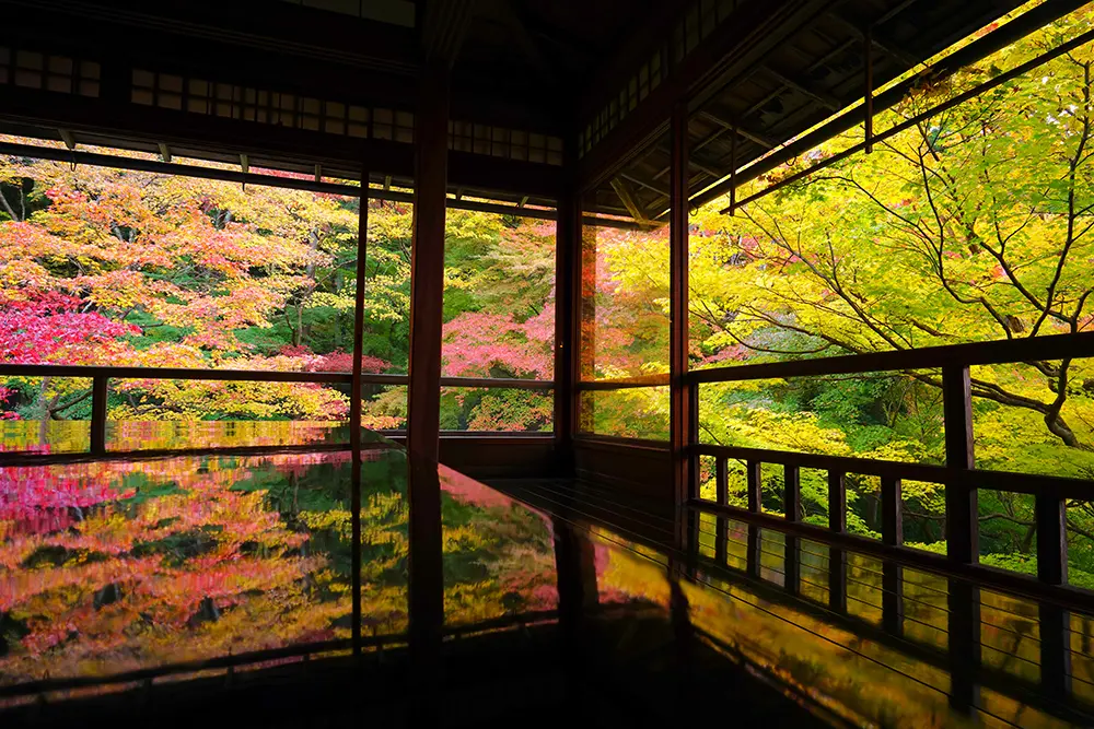 京都府の瑠璃光院
