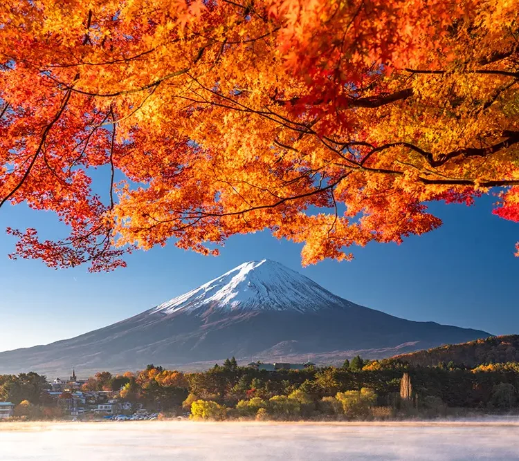 秋の富士山をまるっと満喫！息をのむ絶景にため息をもらす旅