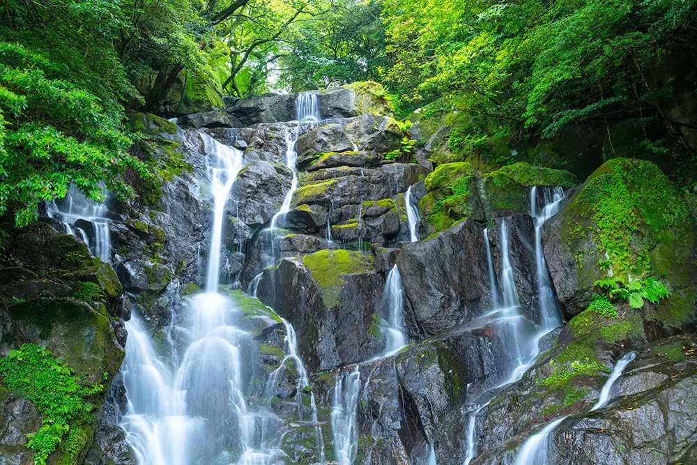 福岡県貸切バスモデルコース　糸島白糸の滝