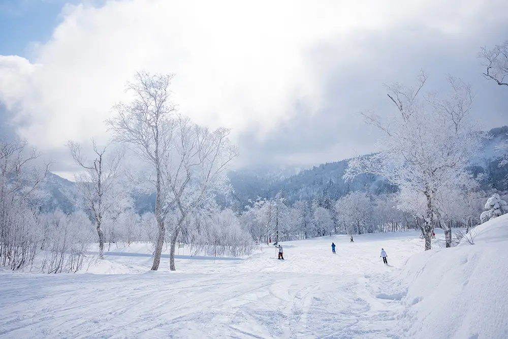 北海道の「札幌国際スキー場」