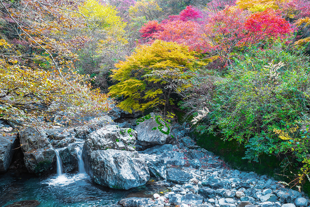 奈良の「みたらい渓谷」