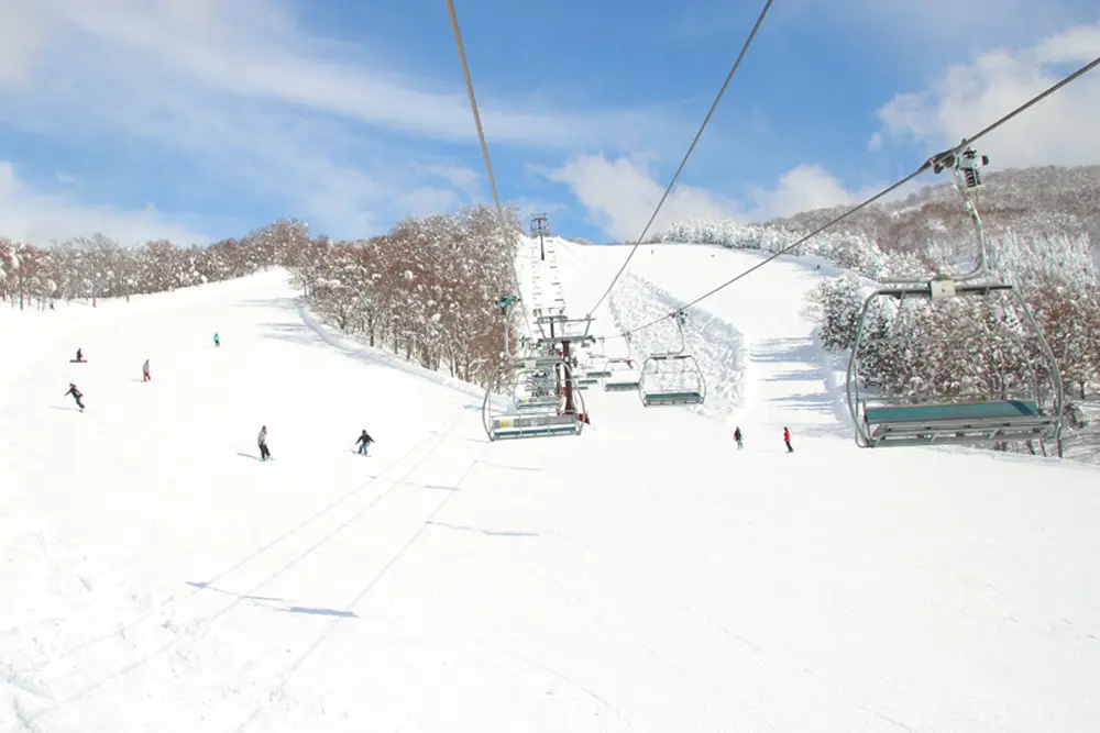 福井の「スキージャム勝山」