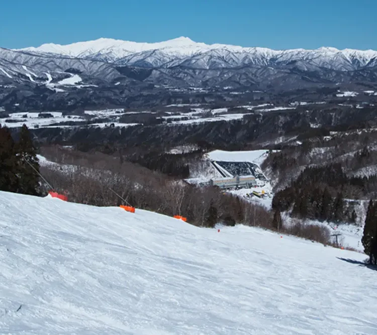 ホワイトピアたかす　鷲ヶ岳　共通リフト券 鷲ヶ岳、ホワイトピア高鷲共通日券 リフト券2枚セット