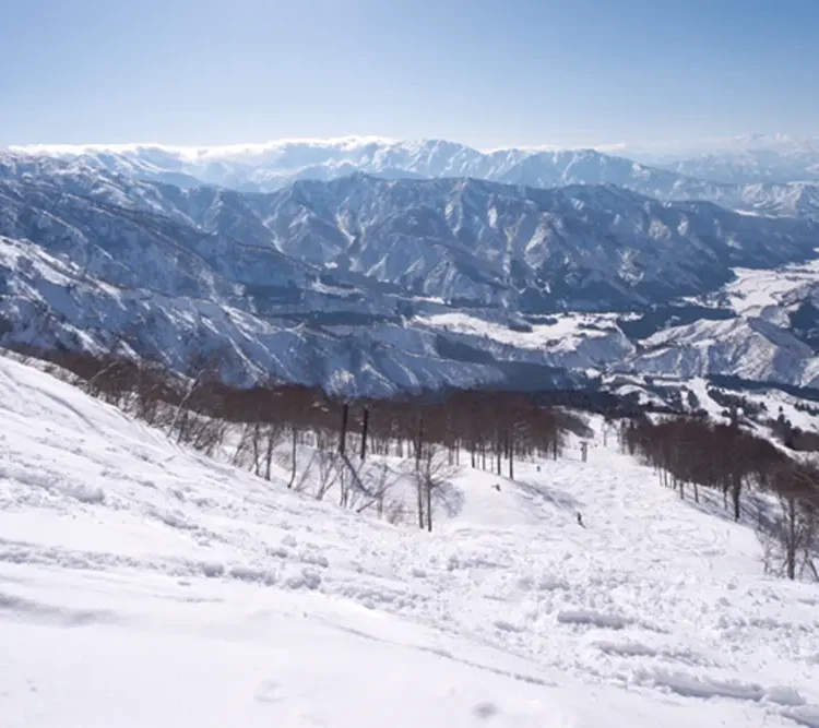 niigata-