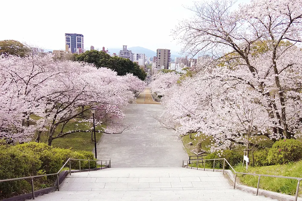 福岡市「西公園」の桜