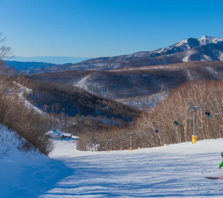 gunma-whiteworldozeiwakura-