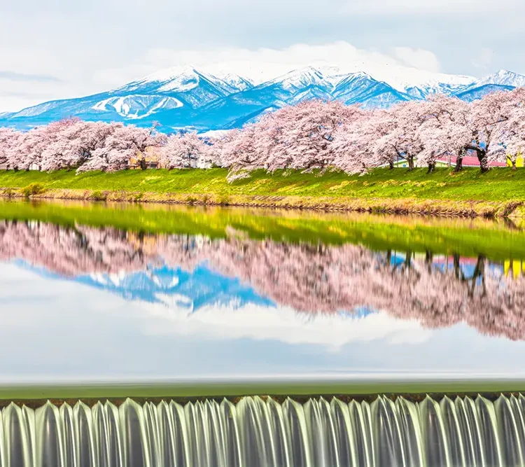 白石川堤一目千本桜へのアクセス方法（公共交通機関、貸切バス