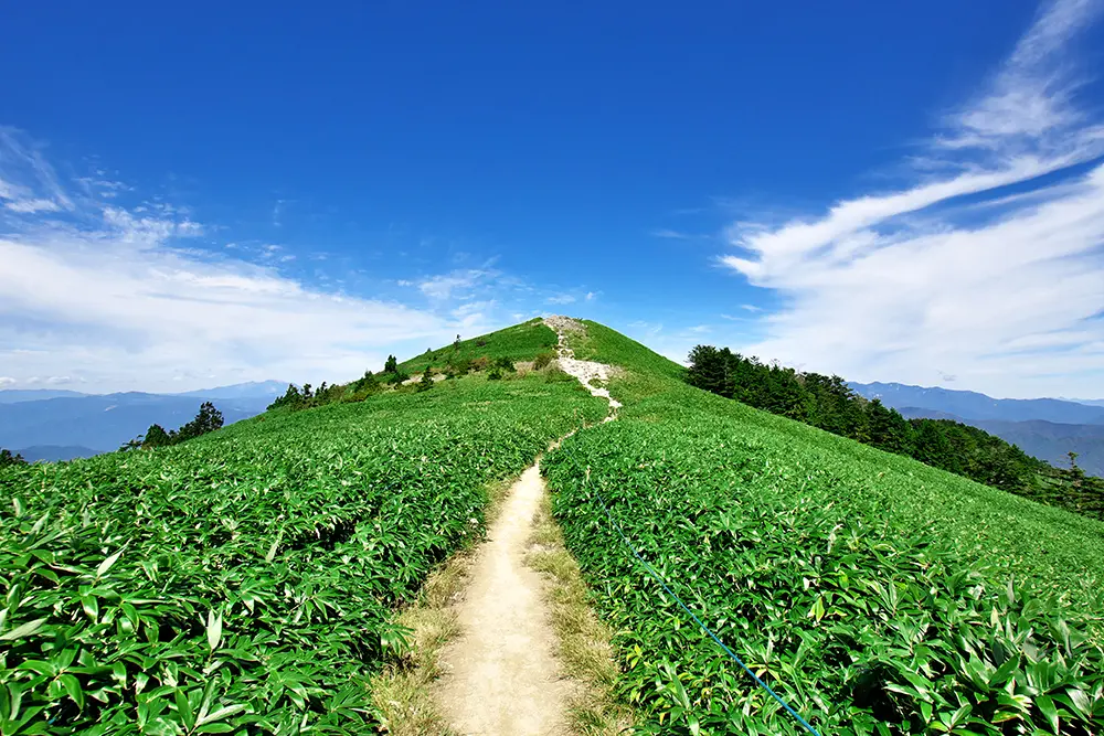 富士見台高原山頂へのトレッキングコース