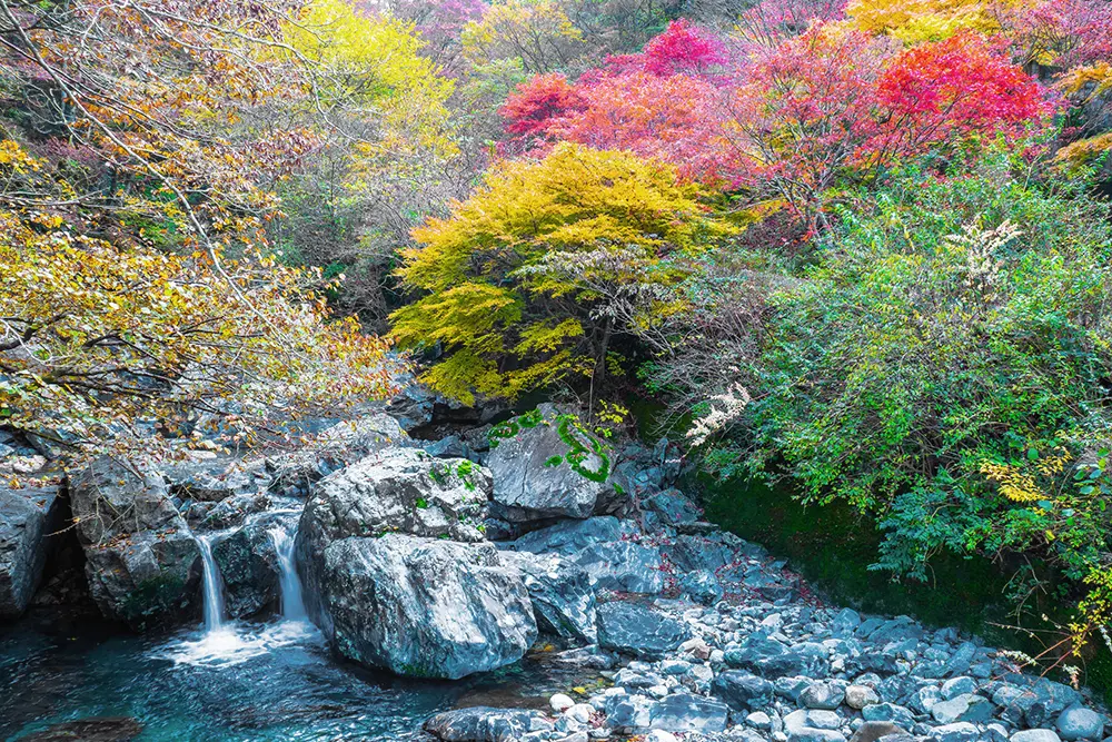 奈良の「みたらい渓谷」