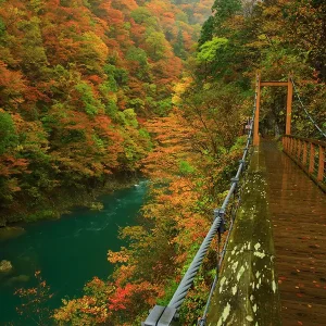 秋田県の抱返り渓谷