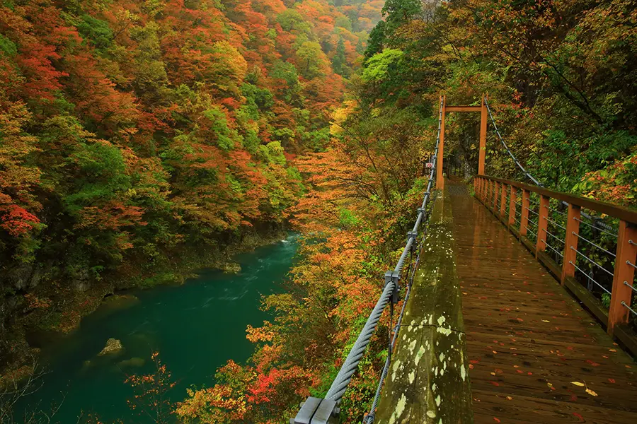 秋田県の抱返り渓谷