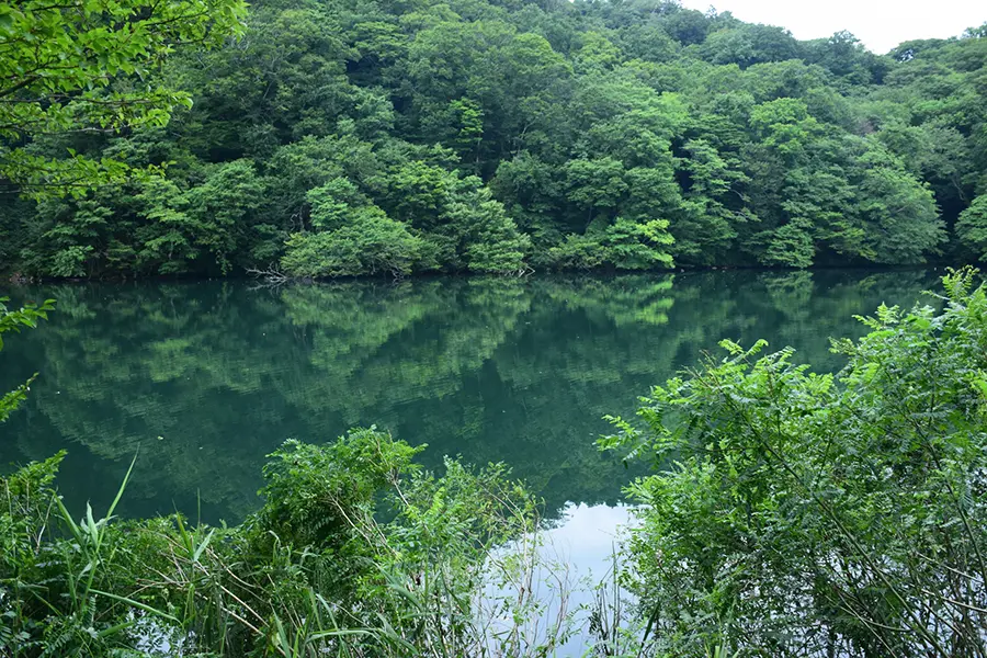 秋田県の白神山の十二湖庵