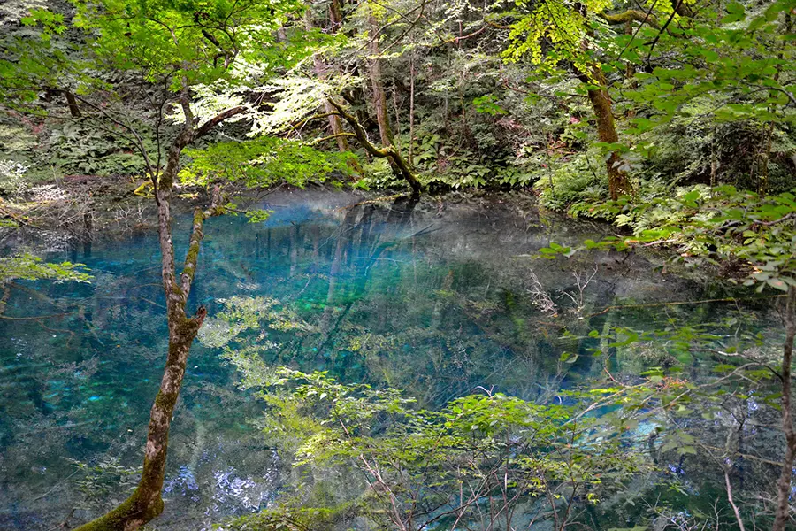 秋田県白神山の沸壺の池