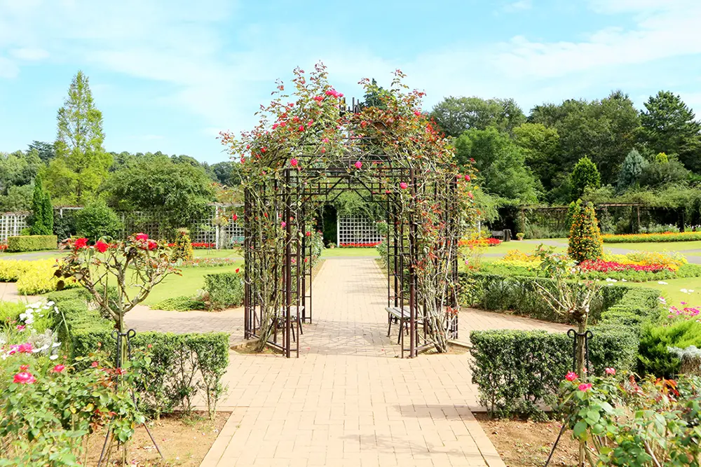 千葉県野田市「清水公園」の花ファンタジア