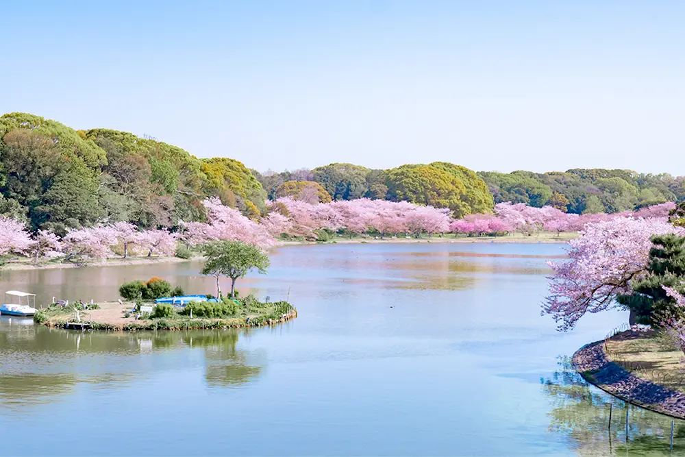 兵庫の「明石公園」