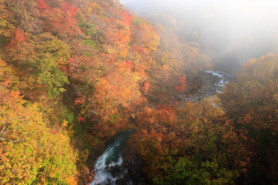 岩手県岩手山パノラマライン