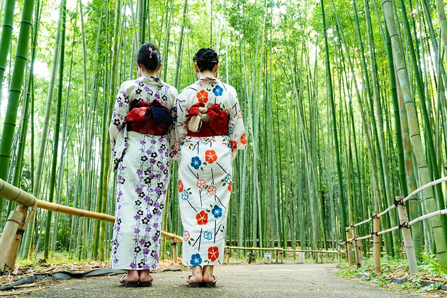 京都の竹林