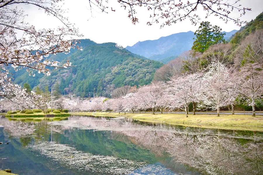 下北山スポーツ公園キャンプ場