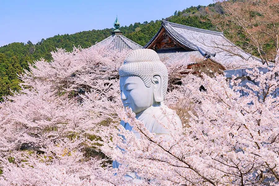 奈良県高市郡の壺阪寺