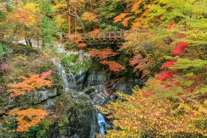 奈良県吉野郡のみたらい渓谷