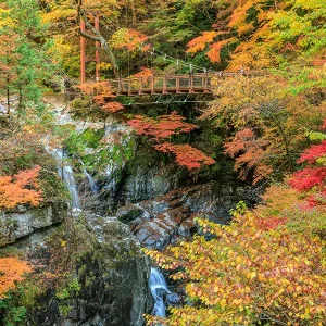 奈良県吉野郡のみたらい渓谷