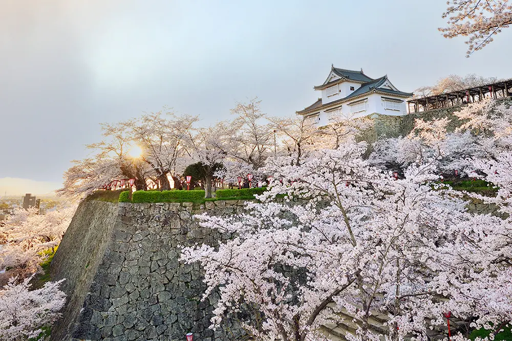 岡山の「鶴山公園」