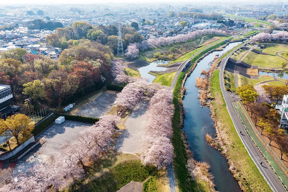 埼玉の「大宮公園」