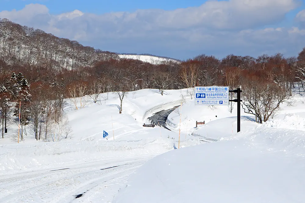 「秋田八幡平スキー場」に向かう冬の八幡平アスピーテライン