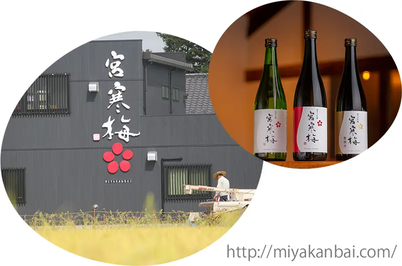 miyagi-miyakanbai-sake-brewery