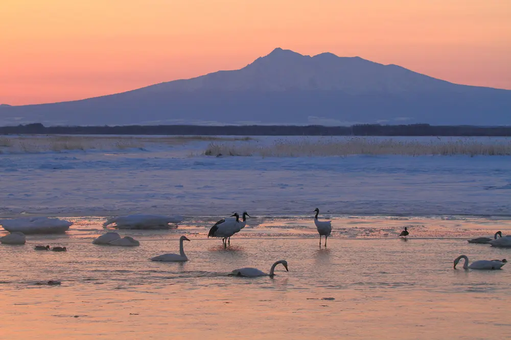 北海道濤沸湖