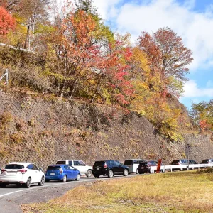 貸切バス利用時に注意したい11月の道路混雑情報